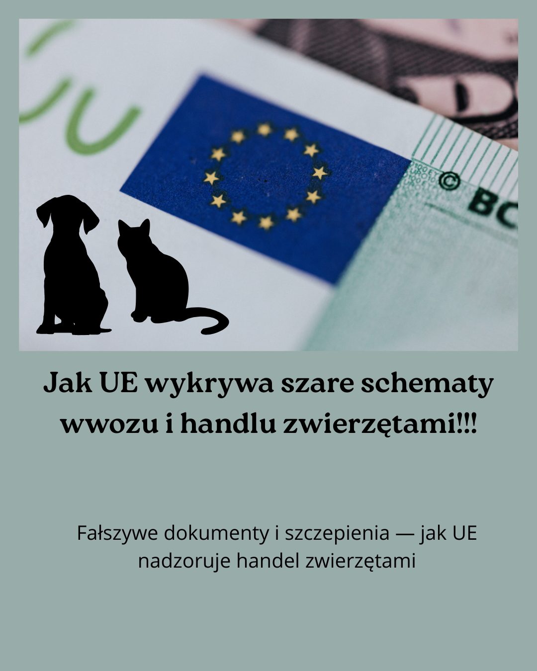 Ilustracja systemu iRASFF, wykorzystywanego przez UE do kontroli handlu zwierzętami