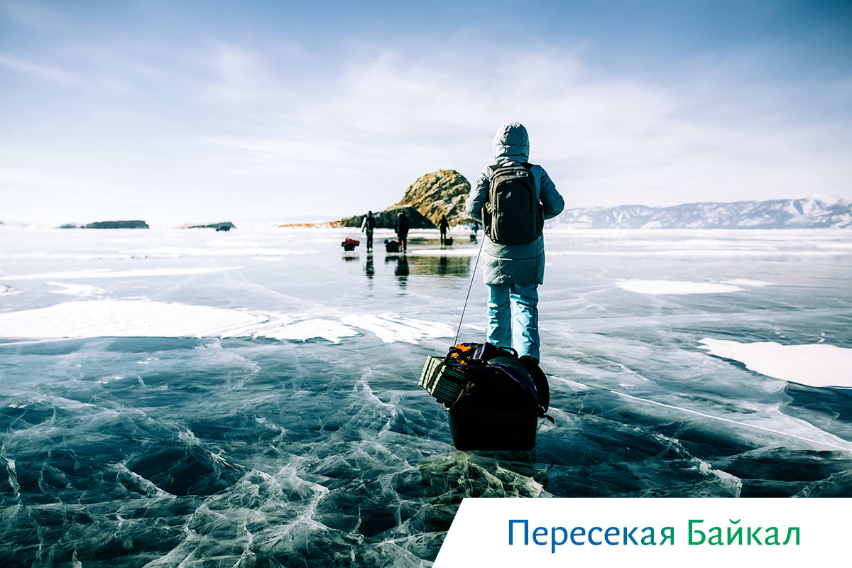 киты в охотском море