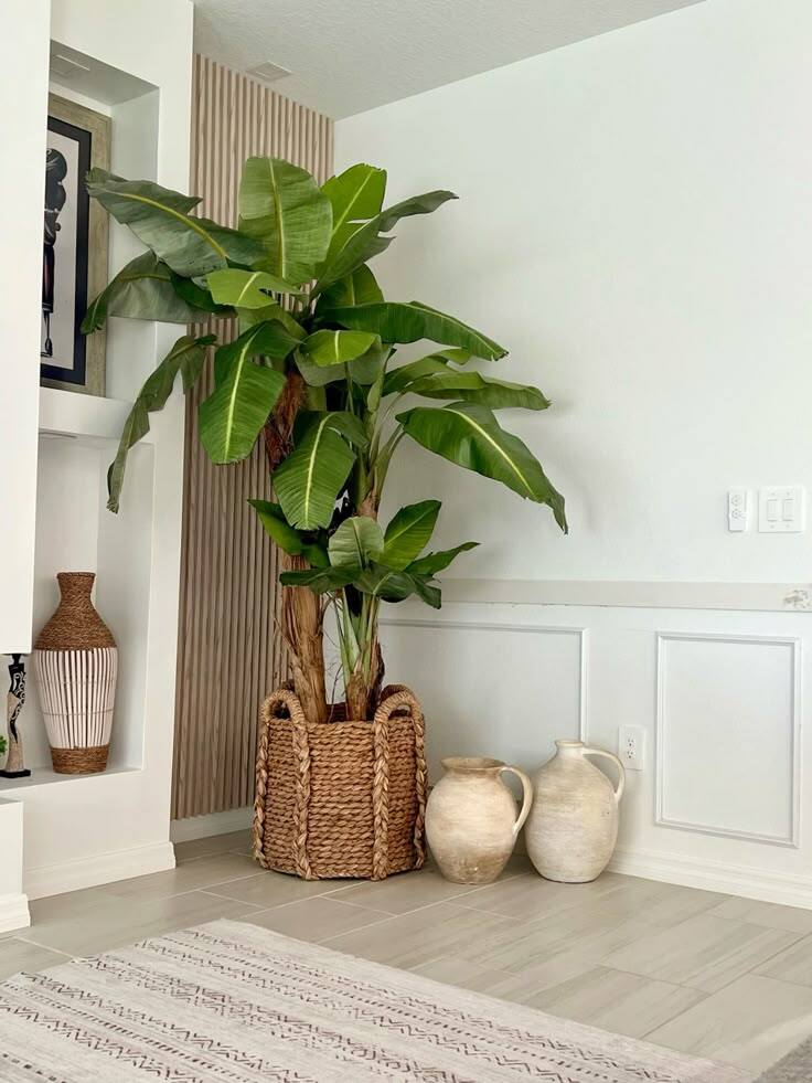 Potted plant on wooden shelf