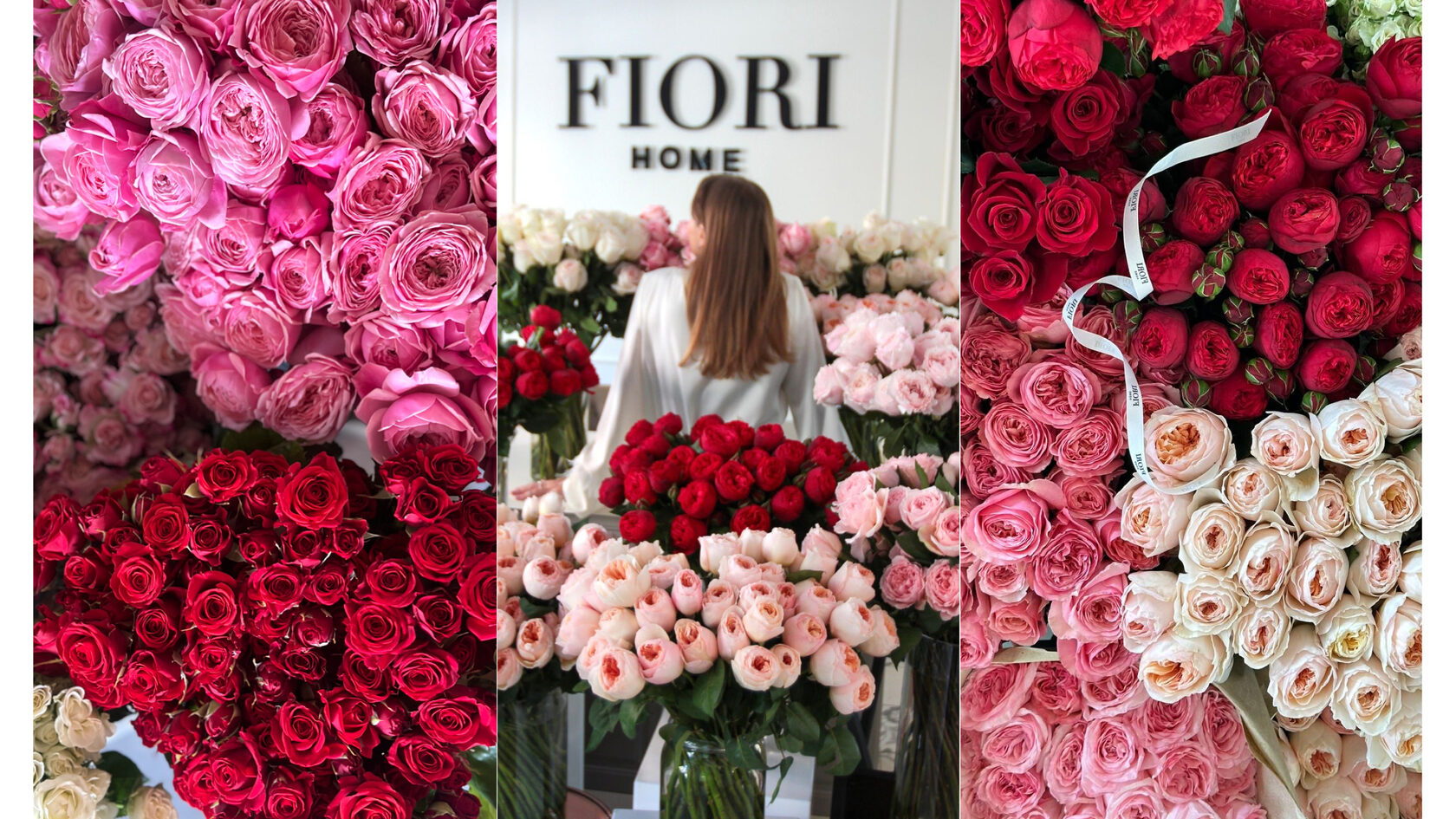 пионовидная роза дэвида остина