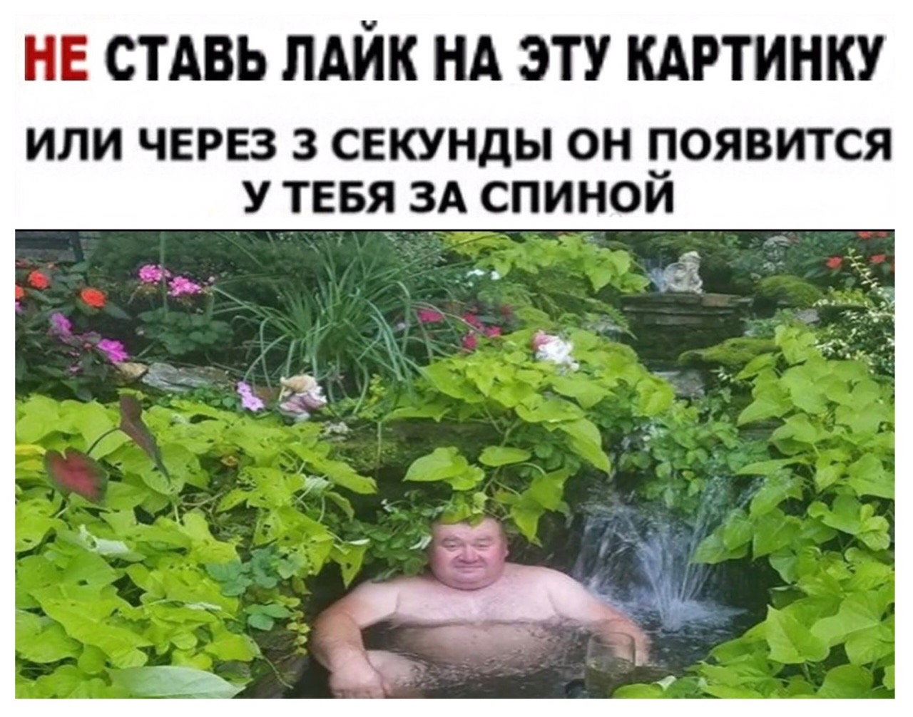 А чё Мем мужик