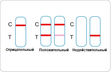 Testsealabs анализ результата теста на антиген | covid-19 test antigen testsealabs