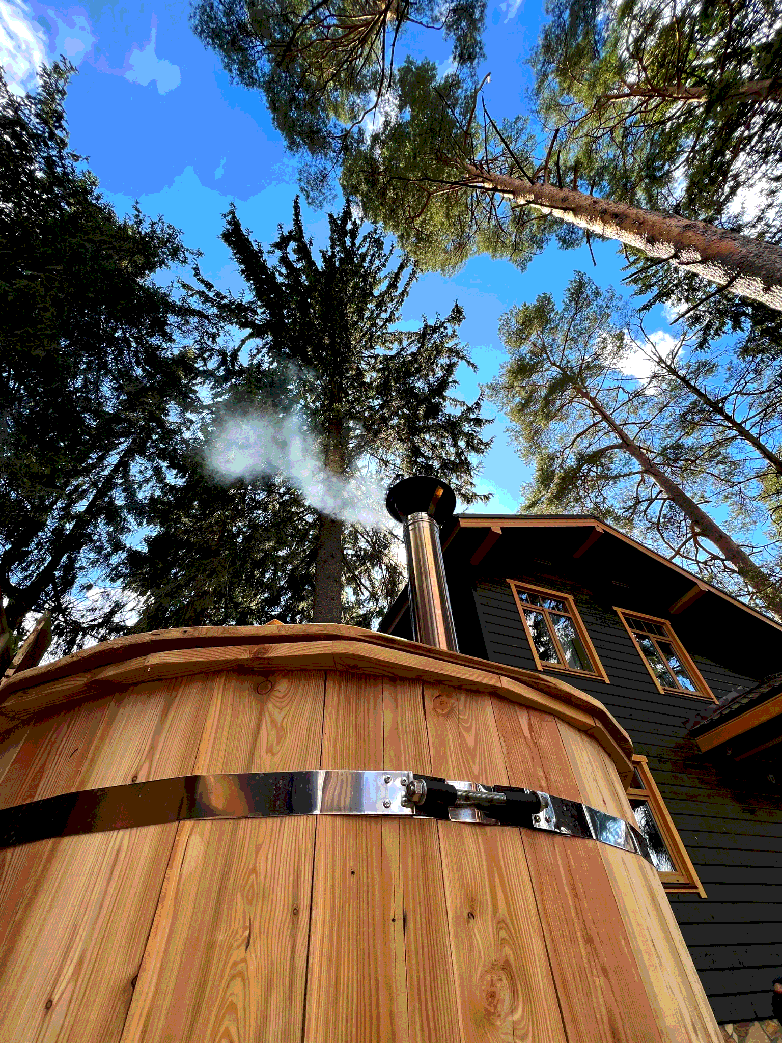 ЛЕСНОЙ — фото 2