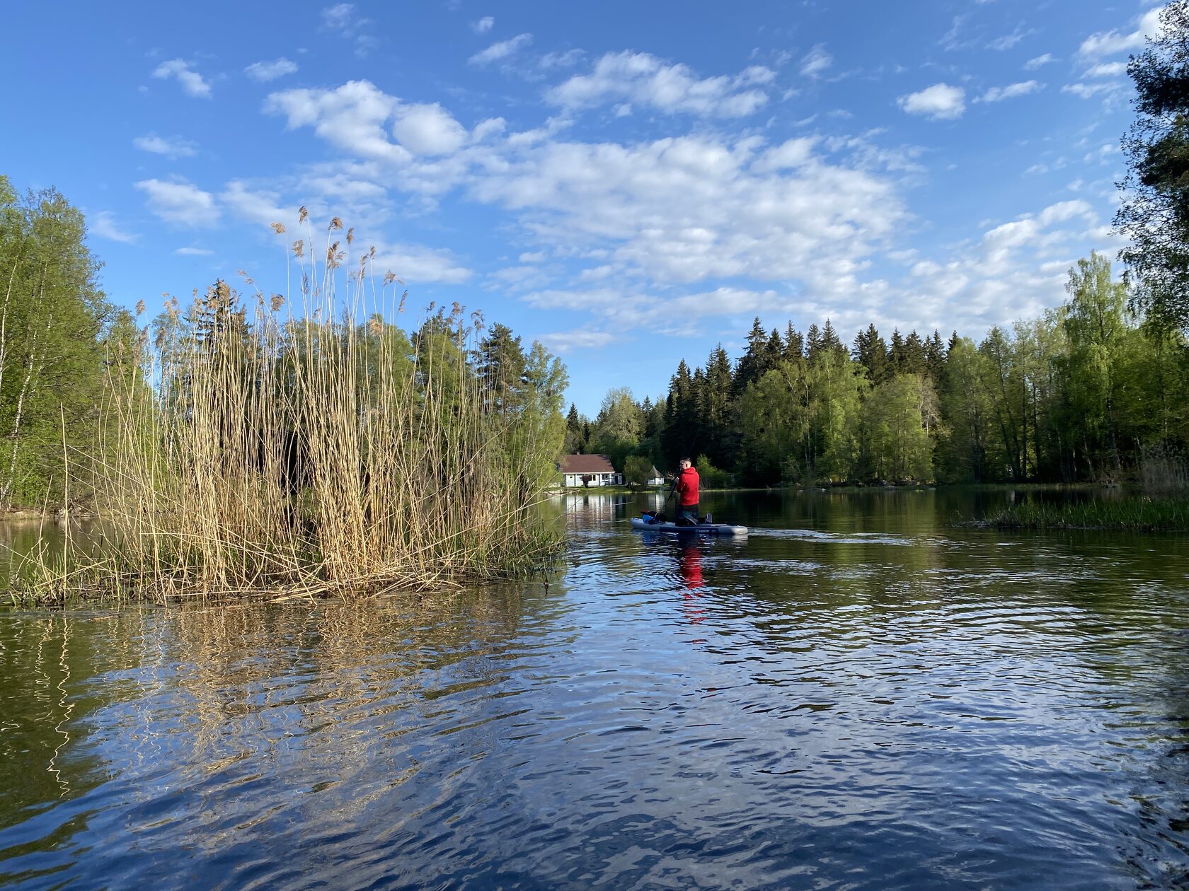 Двухдневный сплав на SUP досках по реке Луга | Supwalkspb