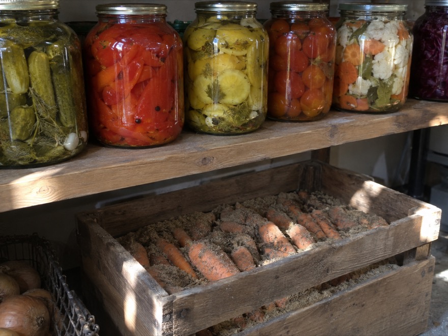 A pantry shelf of preserved vegetables and root-cellared carrots