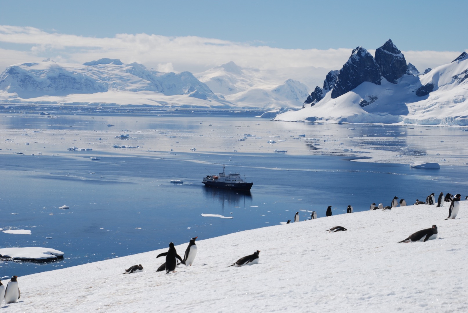 Oceanwide expeditions. Антарктида Южный полюс le Boreal. Полярный круг Антарктида. Центр Антарктиды. Февраль в Антарктиде.