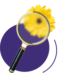 Проверка заказа