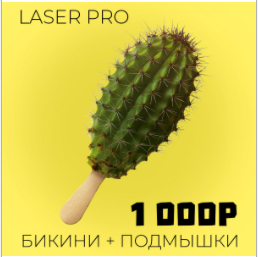 Креатив кактус для студии лазерной эпиляции (Well Media)