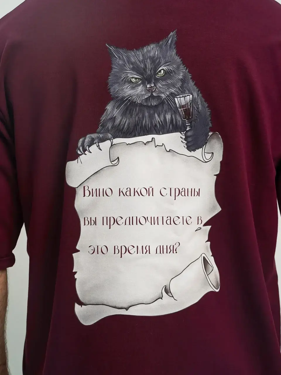 Принт на футболке Бриг Кор