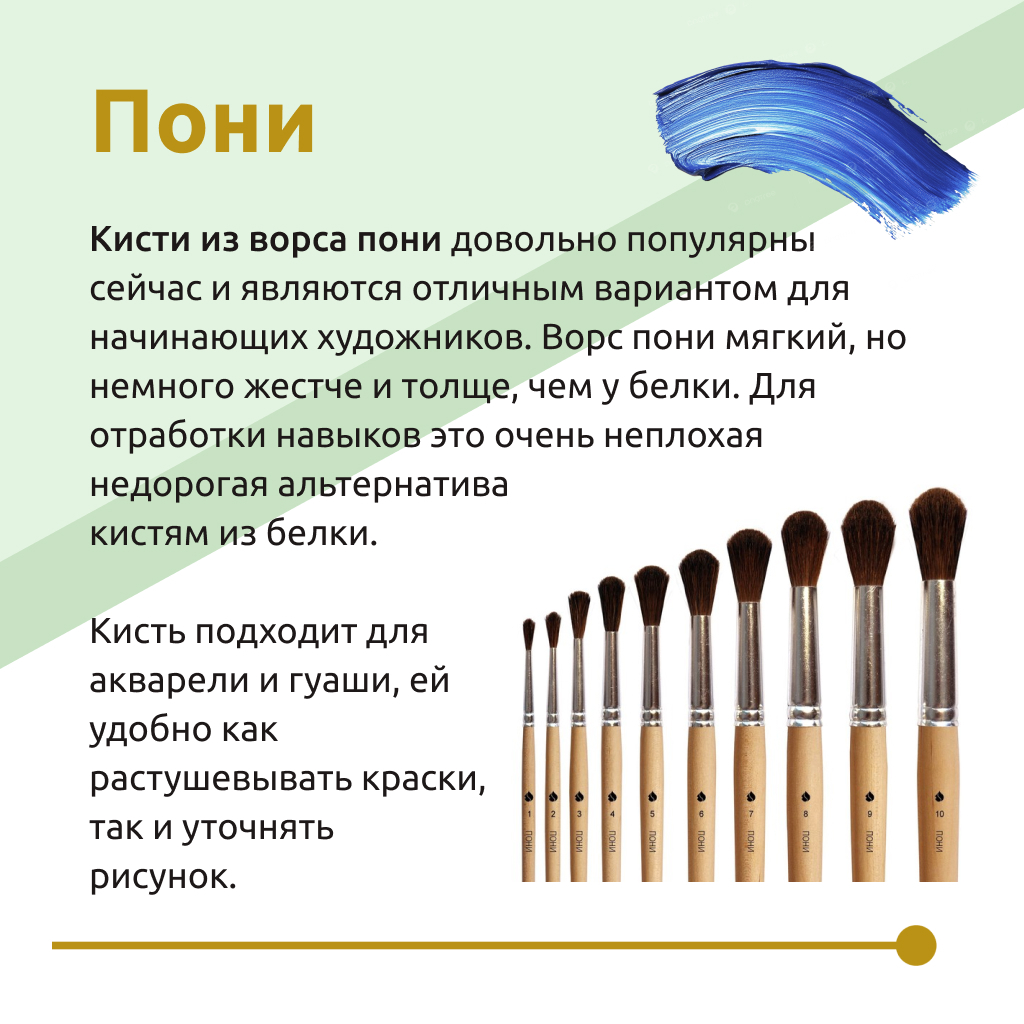 Кисть пони для детей. Уроки рисования онлайн