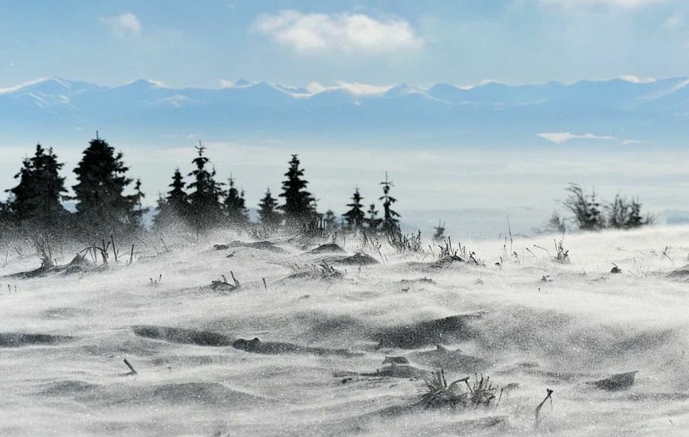Зимний пейзаж