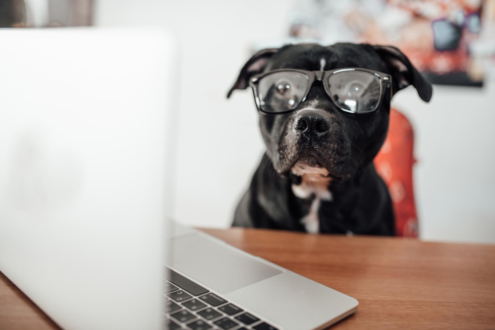 Как купить квартиру и оформить сделку, если нет возможности прийти в отдел продаж