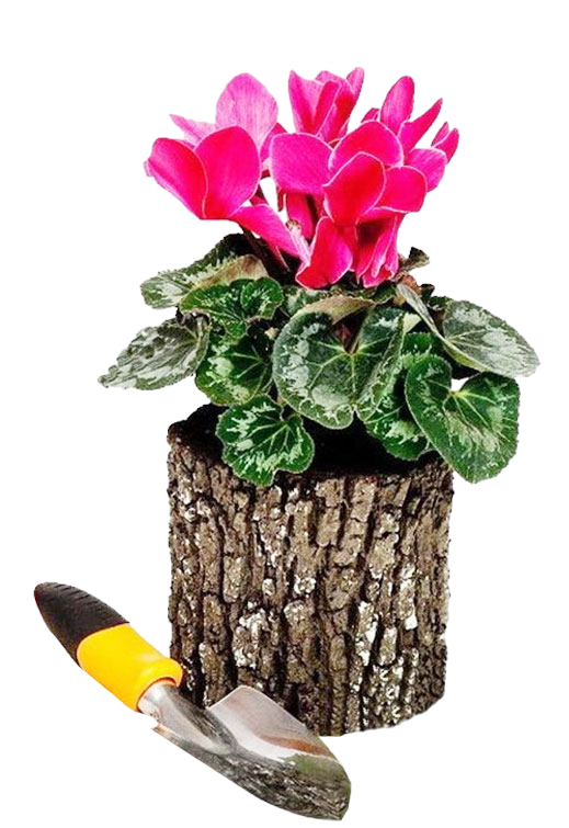 благоустройство сада