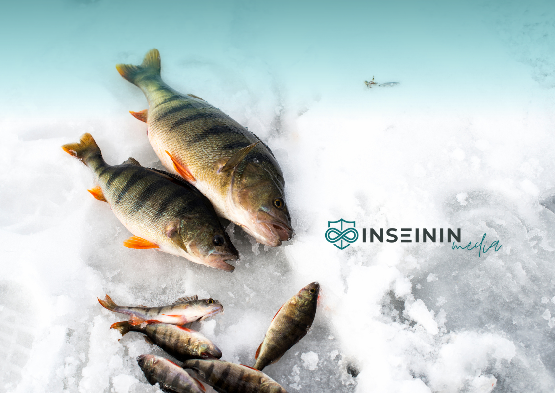 Місячний календар рибака Грудень 2025 (Зимова риболовля)