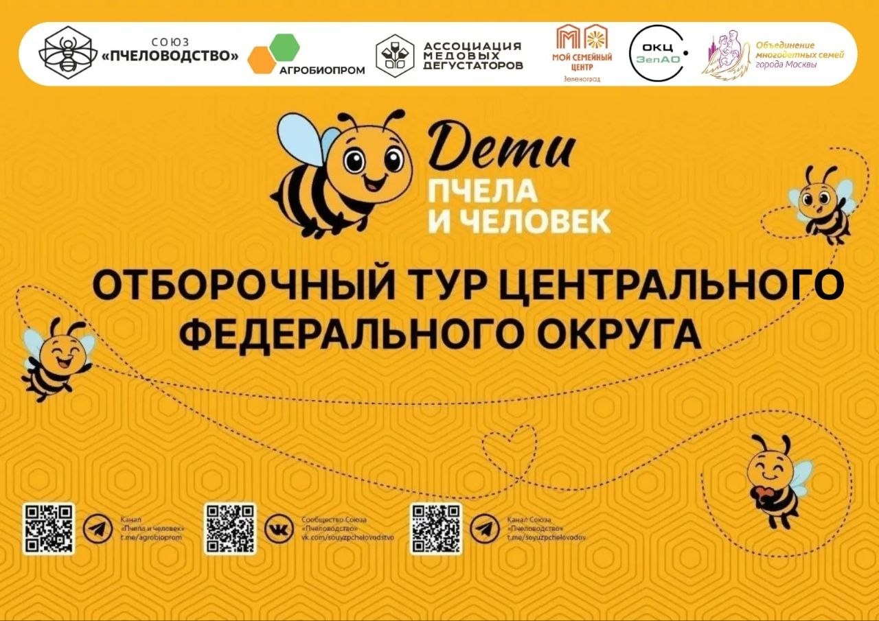 апипульс, цифровой улей, пасечные весы, удаленная пасека, удаленный улей, обломофф