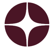 website icon