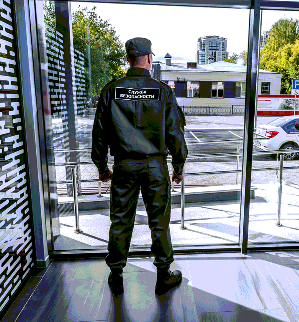 Система организации охраны