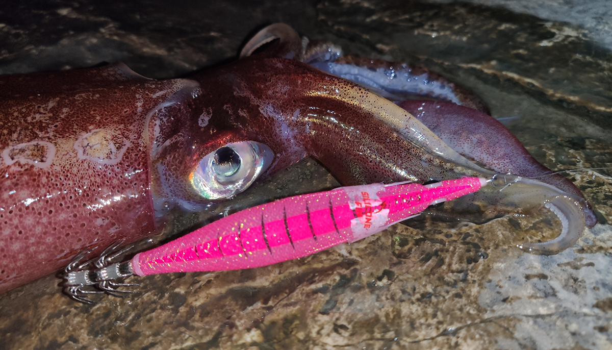 увлекательное приключение под ночным звёздным небом