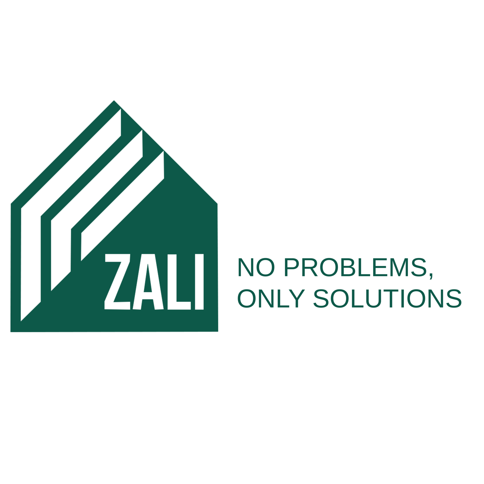 Zali Construction
