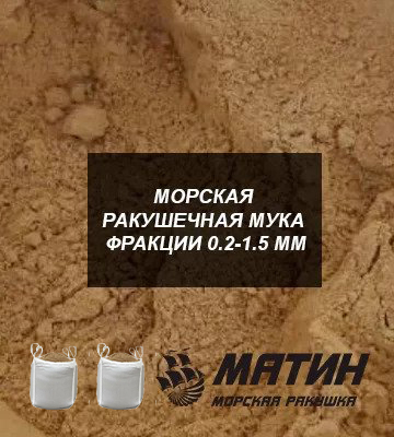 Ракушка морская - 11 предложений в Новосибирске, сравнить цены и купить