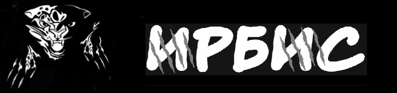 "ИРБИС".
