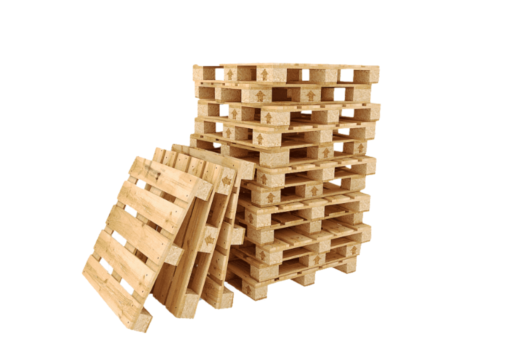 Прием макулатуры и вторсырья с вывозом в Москве и Московской области