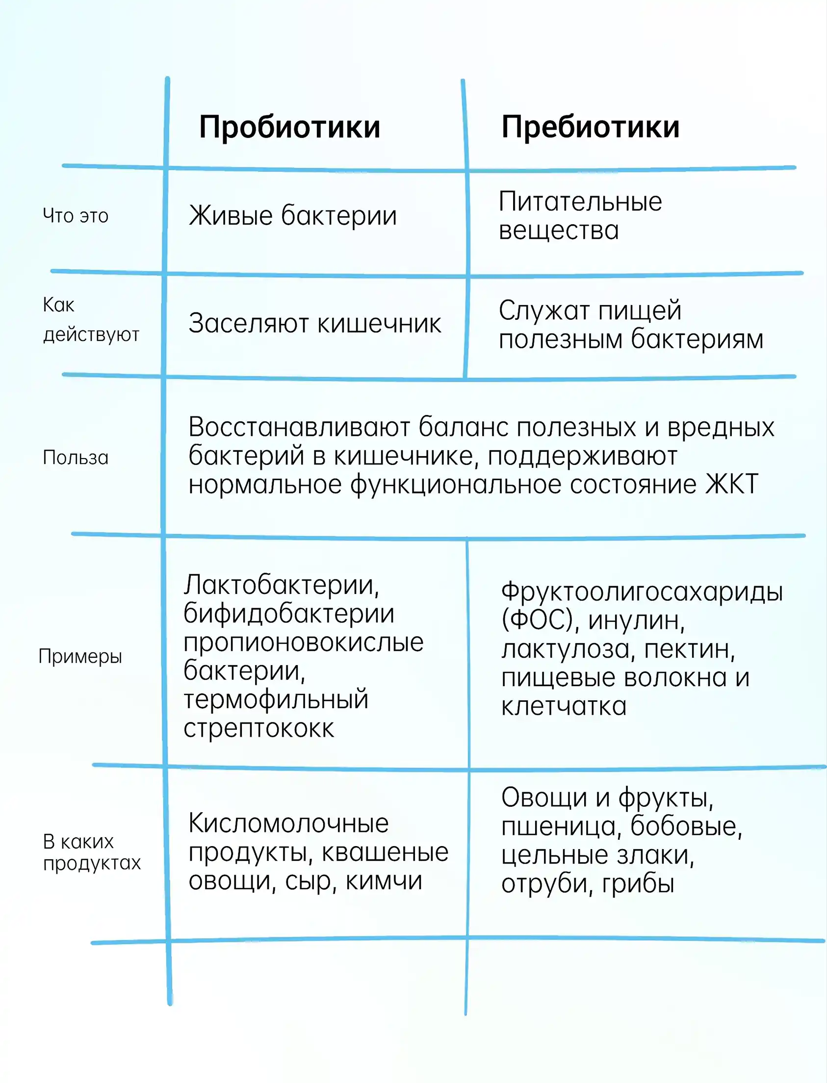 Отличия пробиотиков и пребиотиков