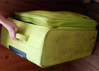 После проекта 5