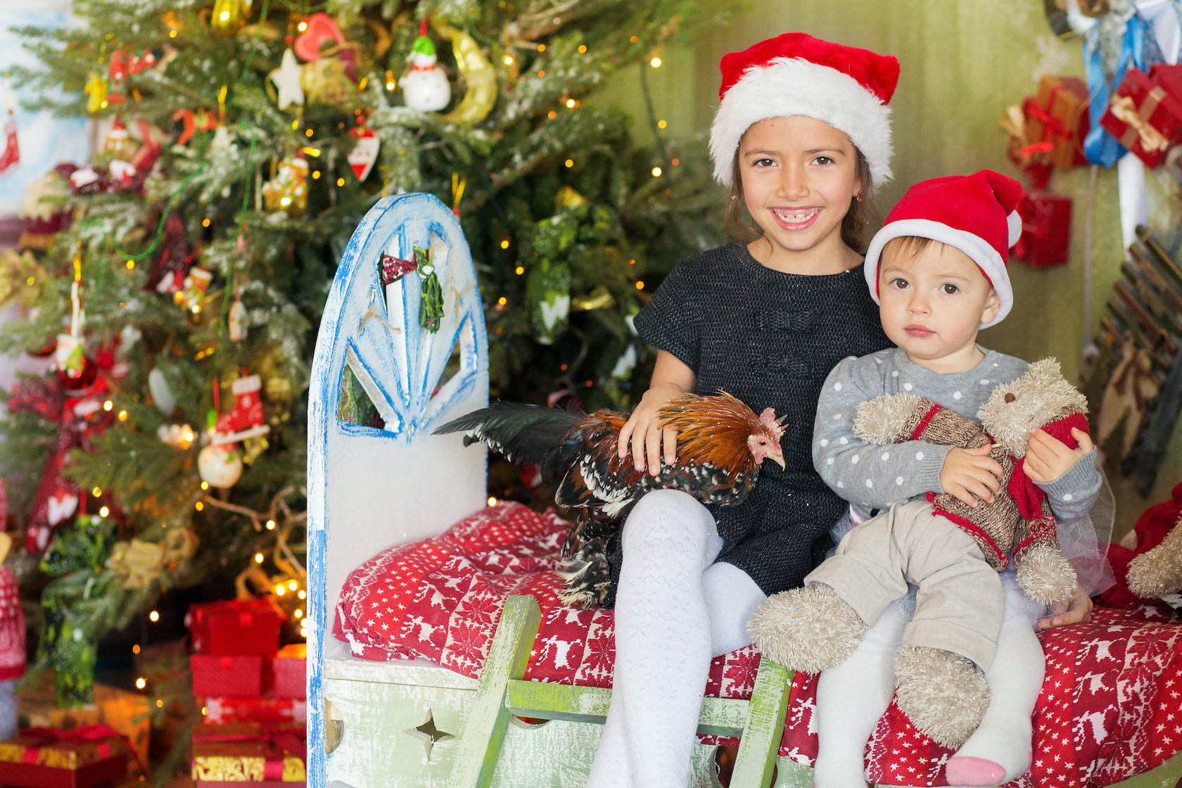 ���������� ���������� ���������� �� ������������ �����������