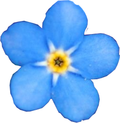 FORGET-ME-NOT