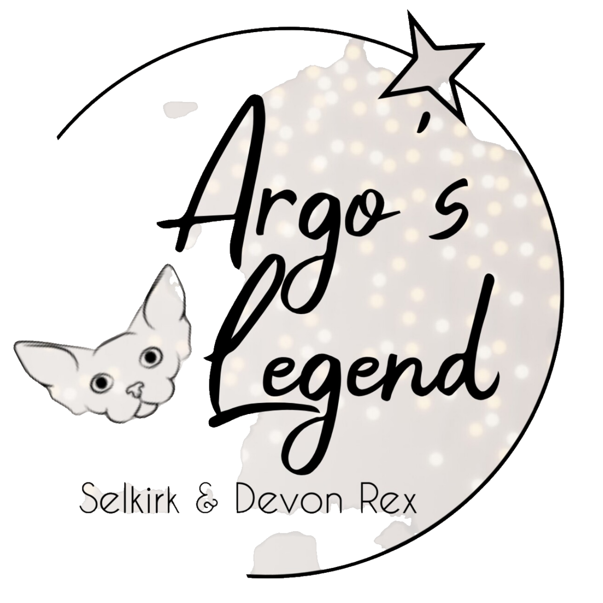  Argo's Legend Selkirk &amp; Devon Rex 