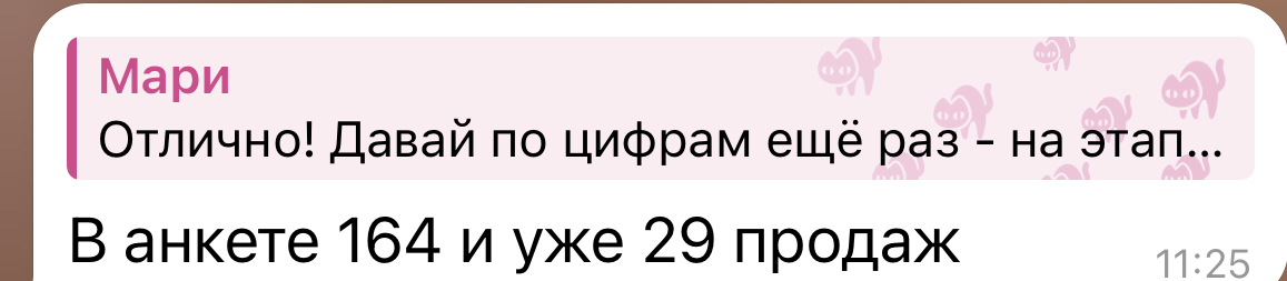 164 анкеты 29 продаж