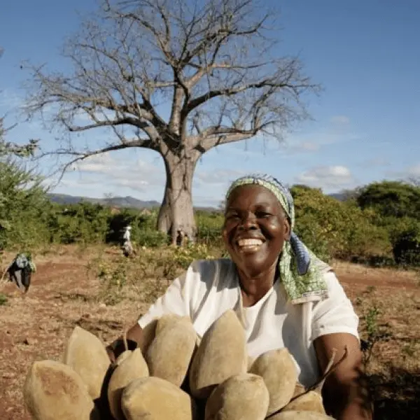 Гепарды - Тур в ЮАР