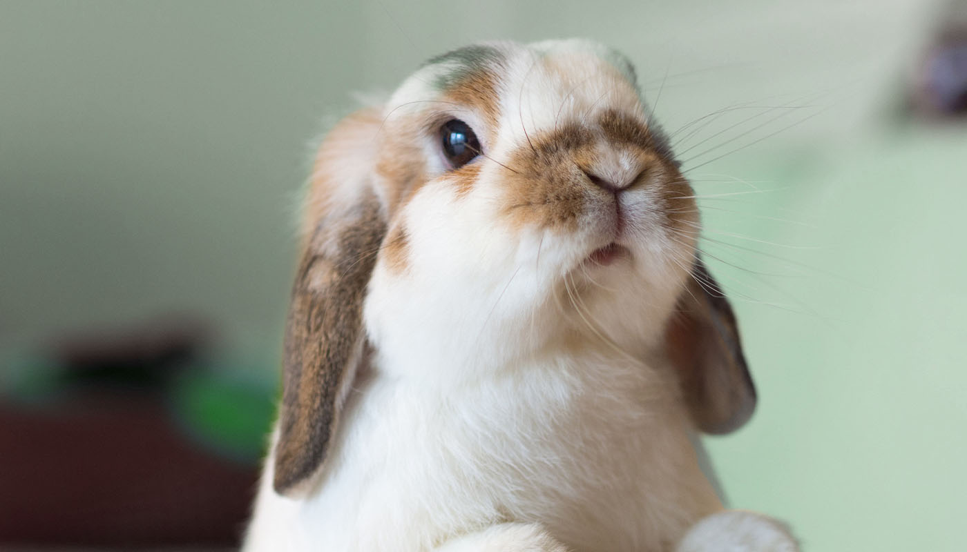 Отсутствие мотивации