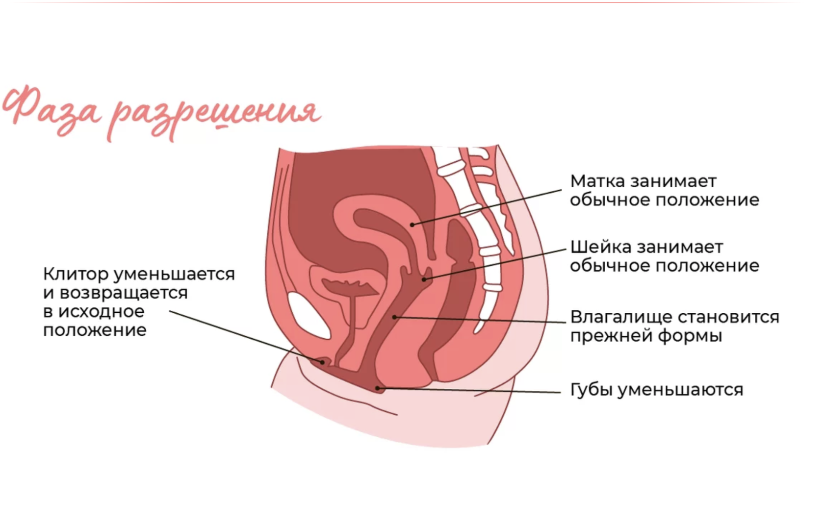 Как Делать Секс На Полу