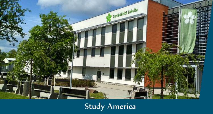 вузы чехии для русских