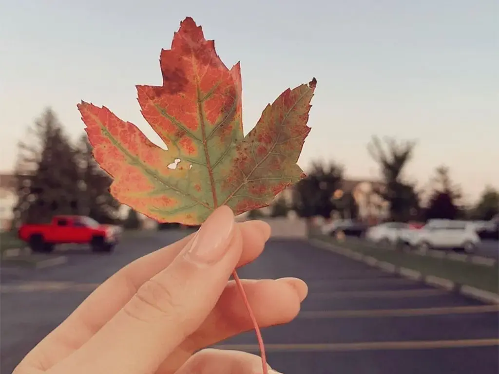 I’m All for Honesty!