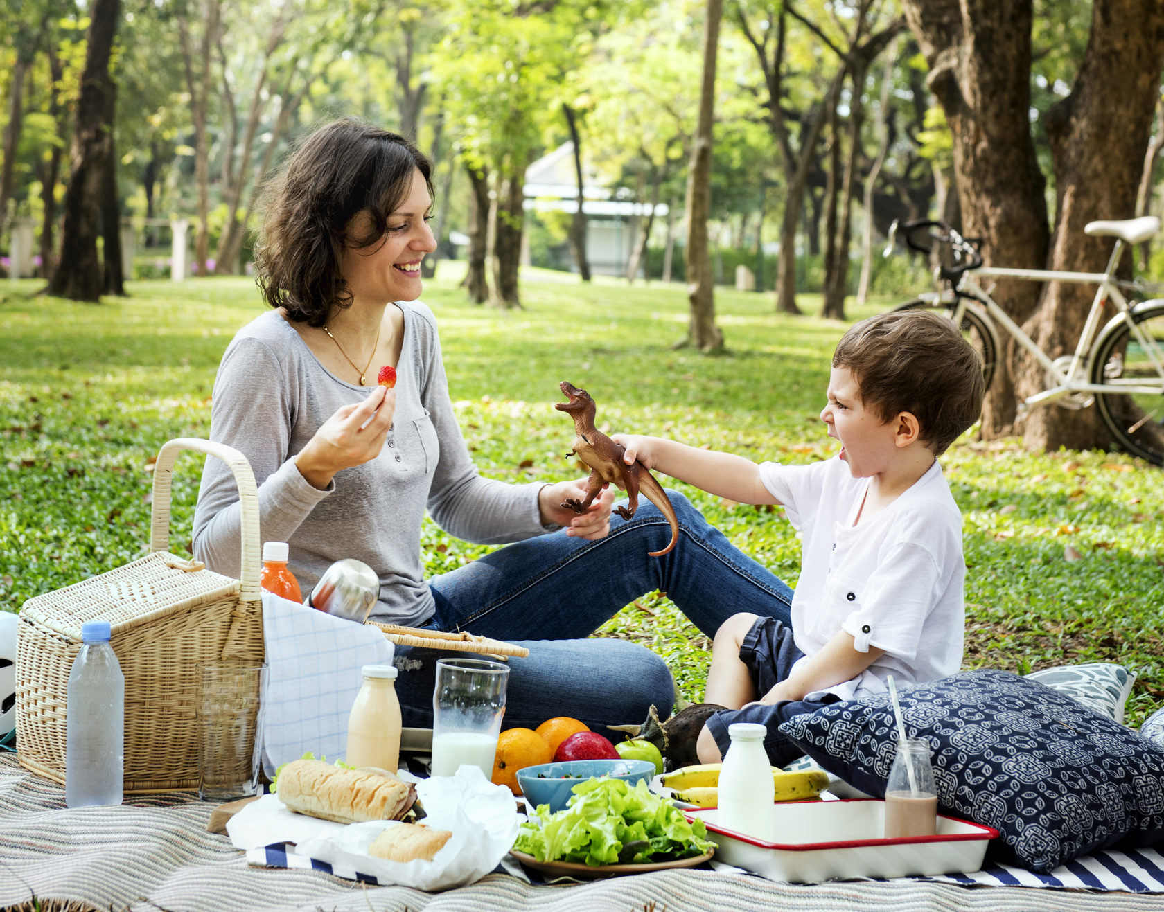 Was mitnehmen zum picknick