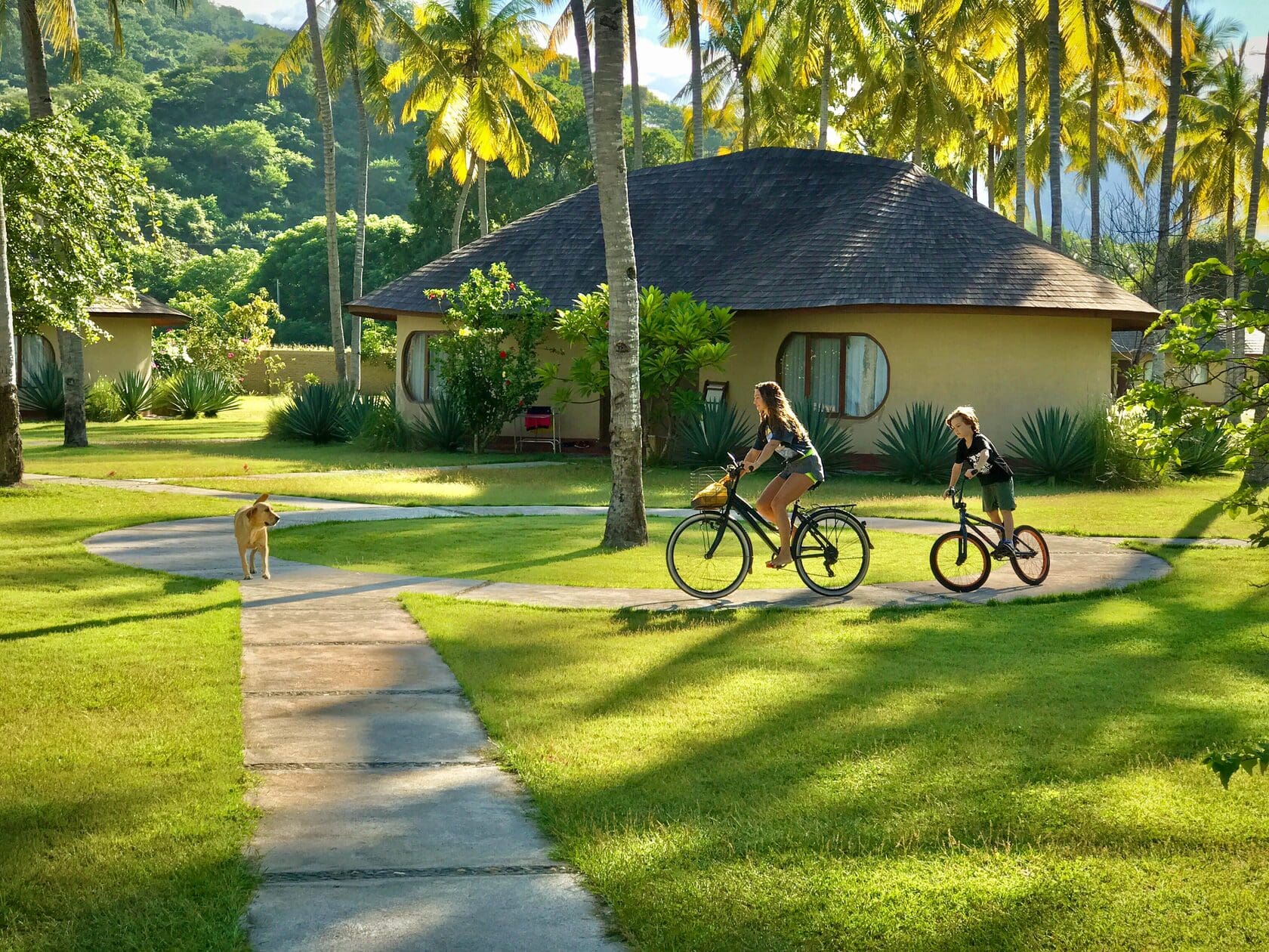 Whales & Waves Resort