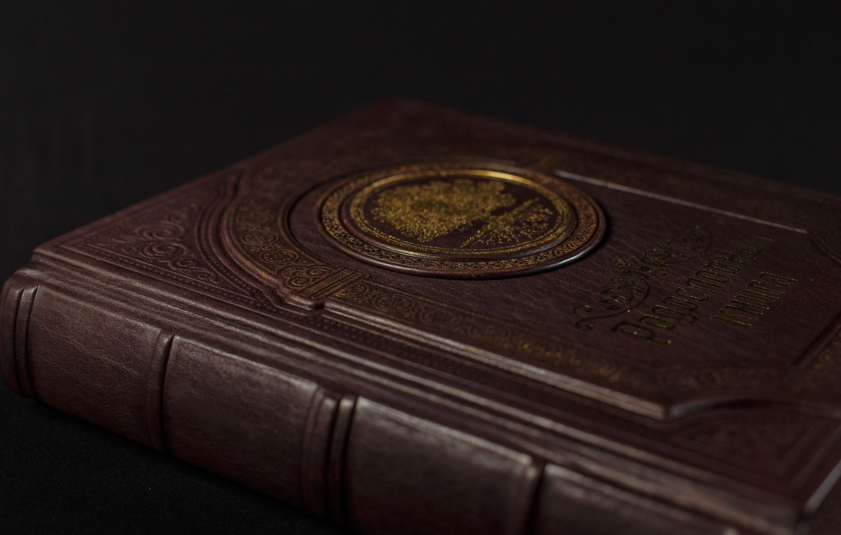 Парадная книга. Родословная книга «парадная». Фон для рабочего стола книги