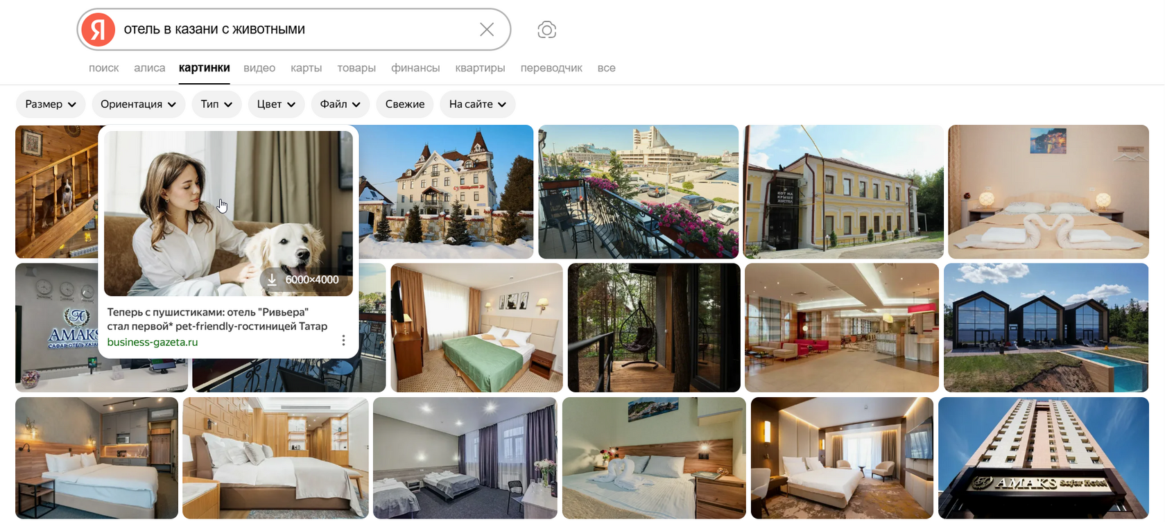 Пример alt-тегов изображений на сайте отеля для SEO-оптимизации