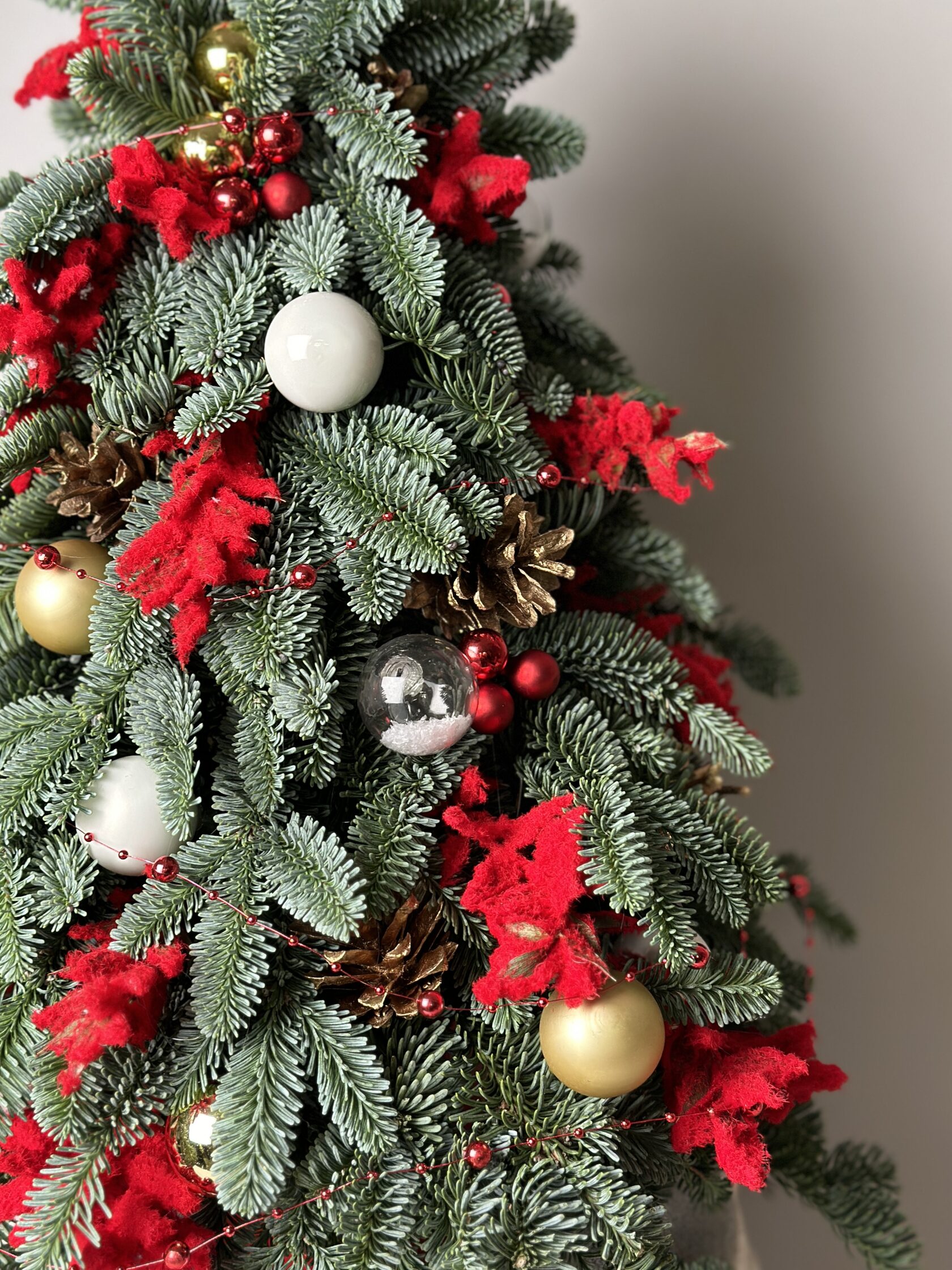 Купить елку из нобилиса в Спб с доставкой | Цветочная Культура