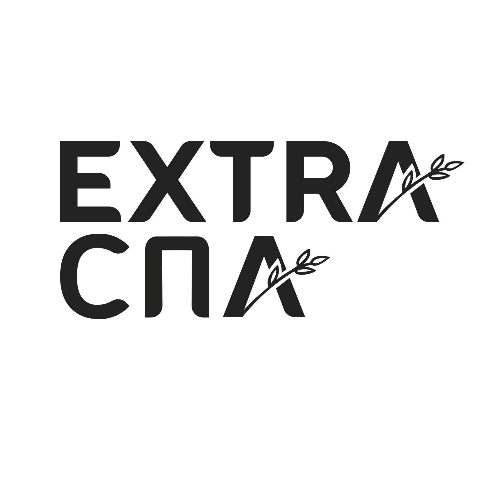 Салон экстра экстра. Экстра спа СПБ. Экстра спа на Типанова 21. Extra Spa ТРК Питер. EXSTRASPA СПБ Ролдео драйв.