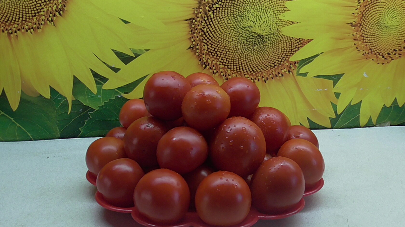 Томат Москвич, №141 в Каталоге.