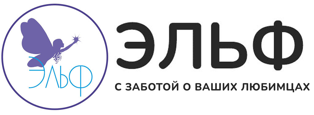 Company