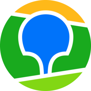 website icon