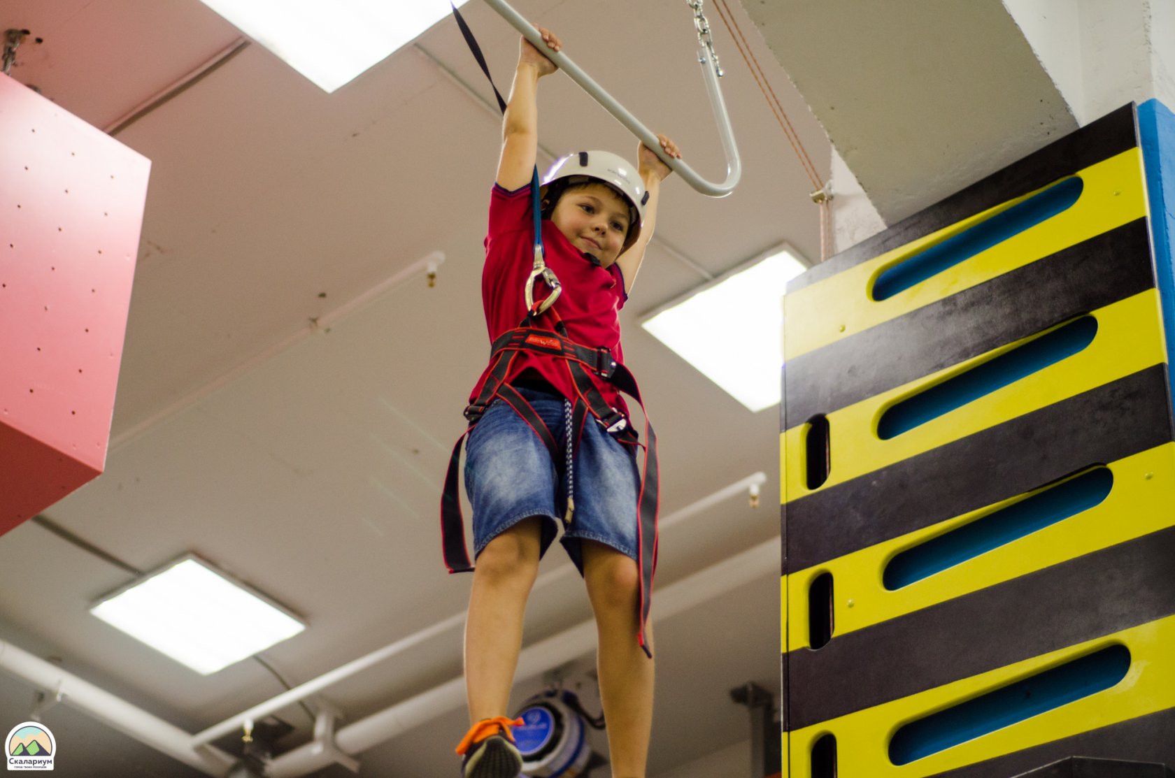 Скалариум ижевск петровский - блог Санатории Кавказа