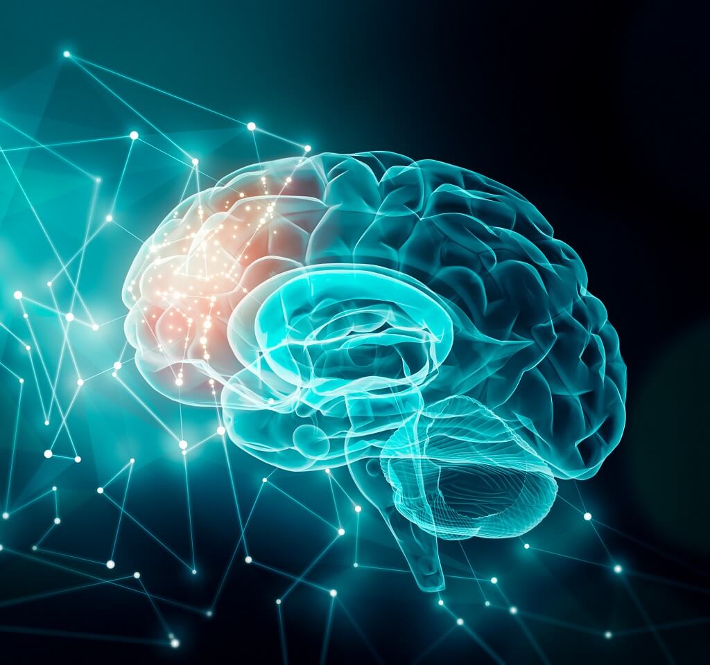 магнитоэнцефалография (мэг). вычислительная нейробиология. неврология мозг. Brain activity. светящийся мозг.