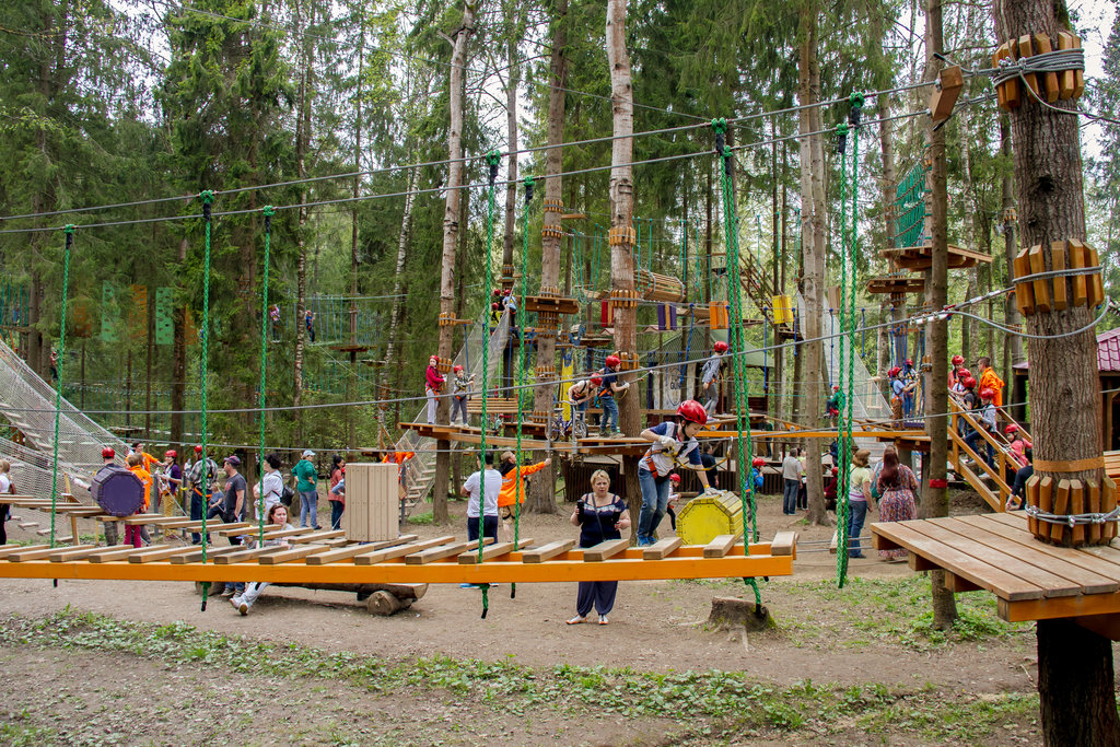 Маркетинг веревочного парка: как привлечь посетителей?