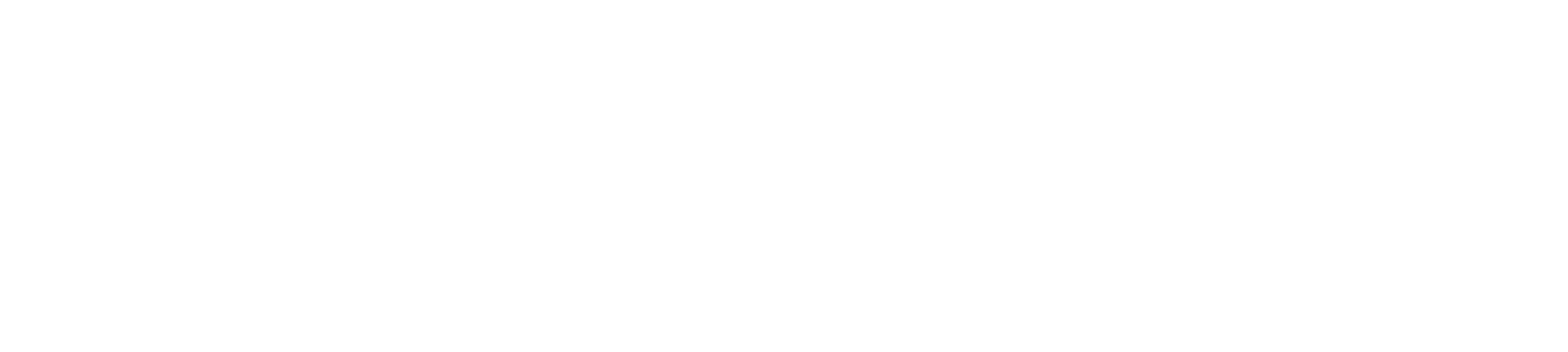 RemCompanyPTZ